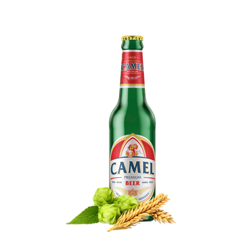 Beer camel Funny Camel,